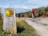 Camino de Santiago: ¿cómo preparar los pies para un largo recorrido?